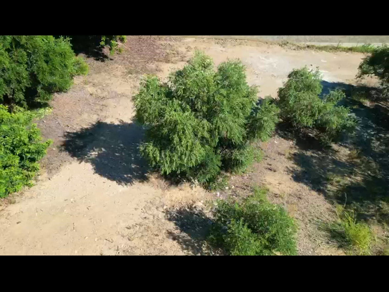 Продажа отдельного шале в Calle Sant Sebastià, 19, Камбрильс photo 2