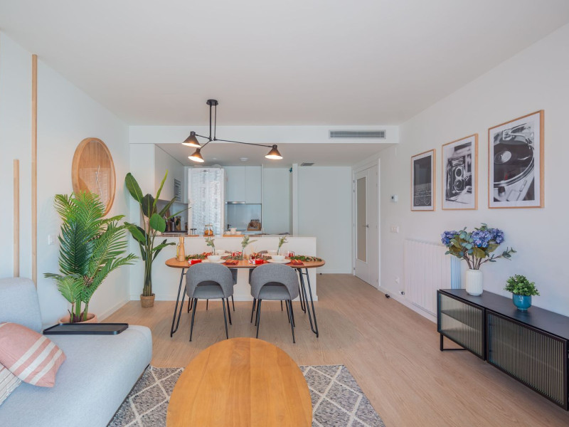 Obra nueva Can Fàbregas en Mollet del Vallès (Revista) photo 5