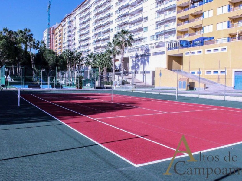 Obra nueva Altos de Campoamor en Orihuela (Revista) photo 3