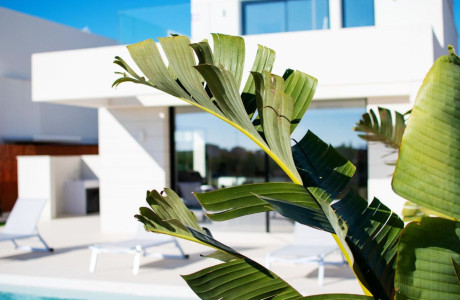Promoción Montesinos Villas obra nueva en Los Montesinos thumbnail 1