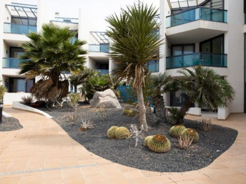 Obra nueva La Oliva (fuerteventura) en La Oliva (Revista) photo 3