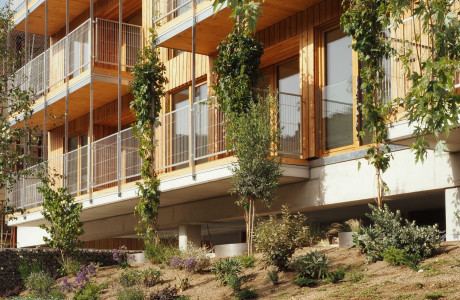 Promoción Bosc del Maresme obra nueva en Dosrius photo 4