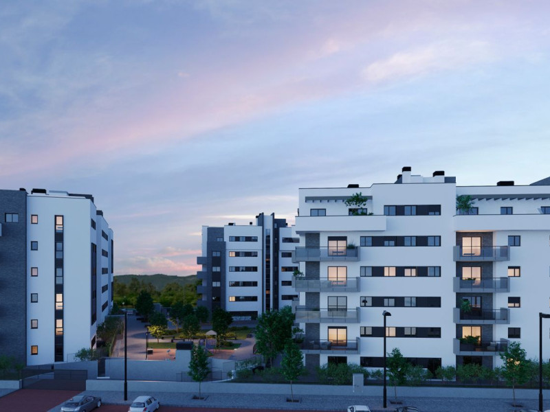 Panorama 