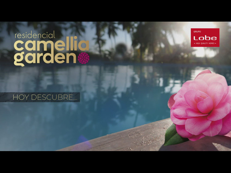 Camellia Garden