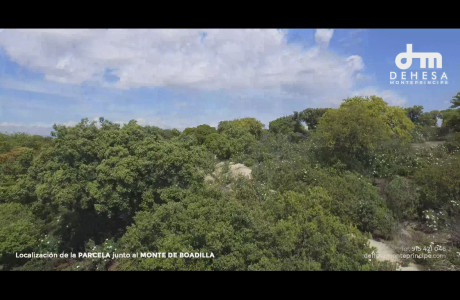 Promoción Dehesa Montepríncipe obra nueva en Boadilla del Monte photo 1