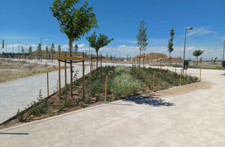 New build Residencial Albali I, Developments in Madrid
thumbnail 3