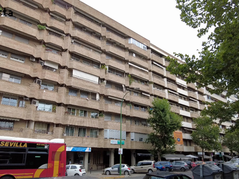Reina Mercedes, 5