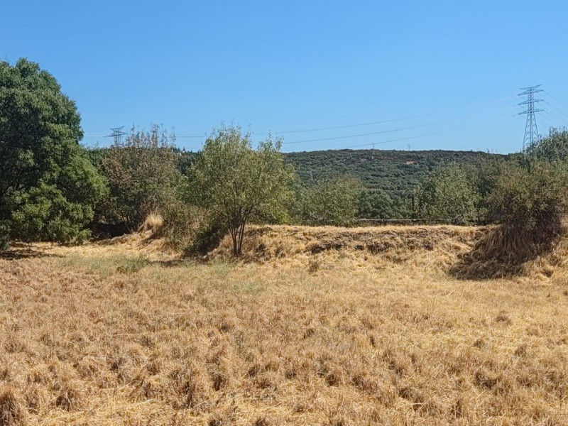 New construction Guadarrama I in Guadarrama photo 5