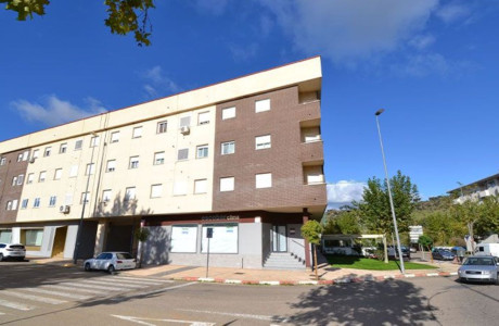 Mieszkanie na sprzedaż w Calle Luis Vélez de Guevara, Plasencia thumbnail 2