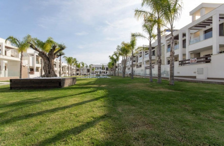 Promoción Bungalow en los Balcones obra nueva en Torrevieja thumbnail 2
