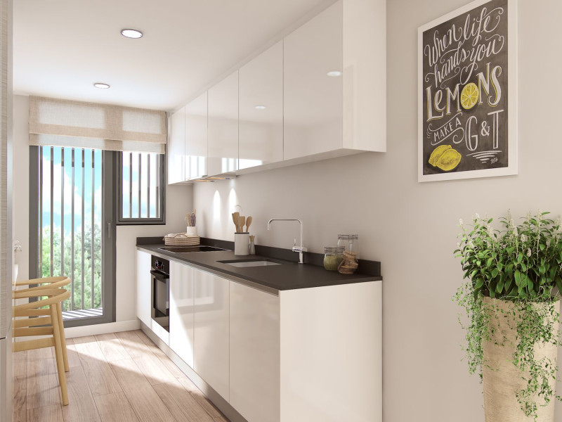 New construction Hayedo de Abantos in Madrid photo 4