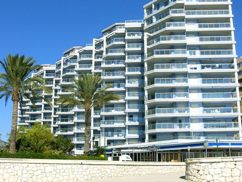 Hipocampos