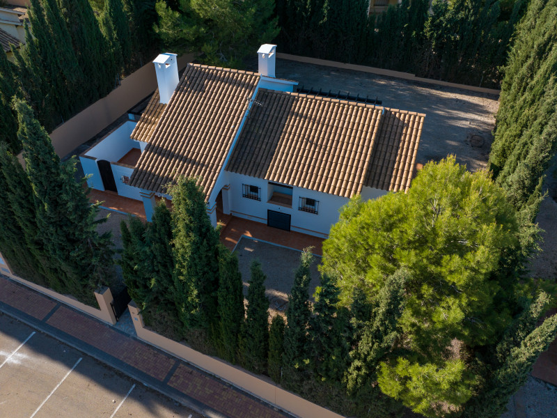 New construction Alto de las Palas in Fuente Álamo photo 1