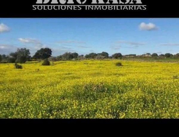 Terreno en venta en Aldea del Cano photo 2