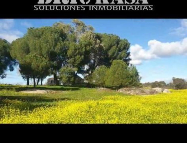 Terreno en venta en Aldea del Cano photo 1