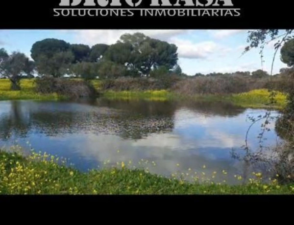 Terreno en venta en Aldea del Cano photo 4