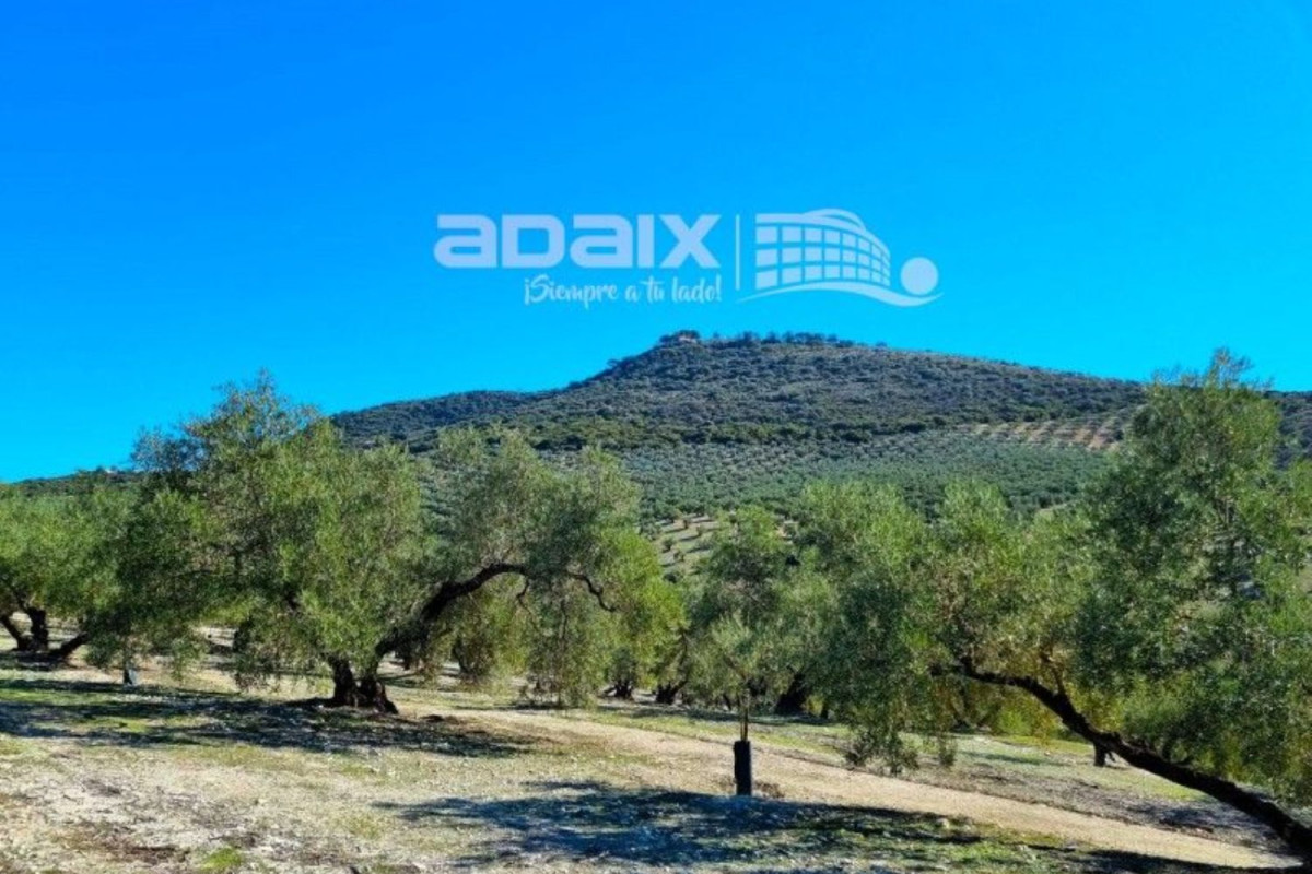Terreno en venta en Lucena, Córdoba photo 3