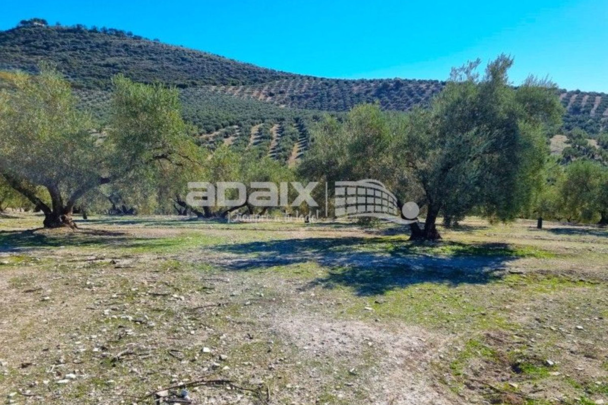 Terreno en venta en Lucena, Córdoba photo 4