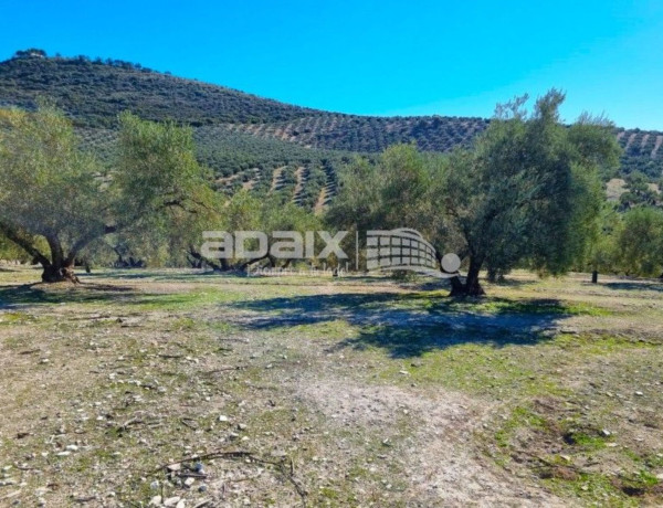 Terreno en venta en Co-6218 photo 4