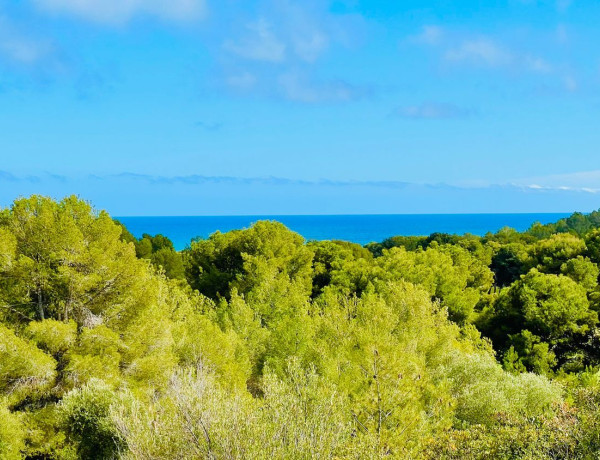 Terreno en venta en Vinyet-Terramar-Can Pei-Can Girona thumbnail 2