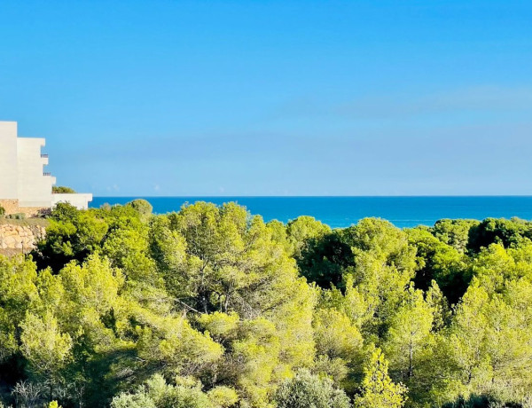 Terreno en venta en Vinyet-Terramar-Can Pei-Can Girona photo 4