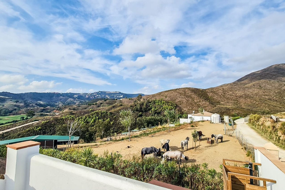 Venta de chalet independiente en No data, 182, Mijas
photo 4