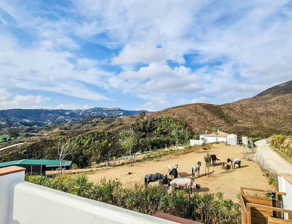 Chalet independiente en venta en  No data, 182, Mijas photo 4