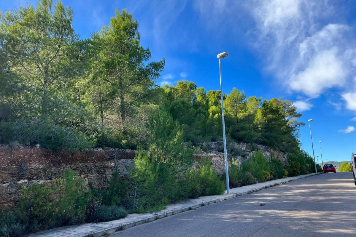 Terreno en venta en Borriol, Castellón photo 3