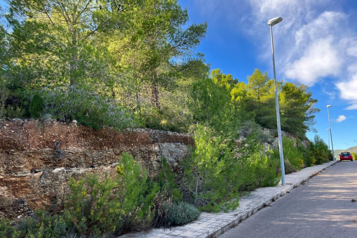 Terreno en venta en Borriol, Castellón photo 4