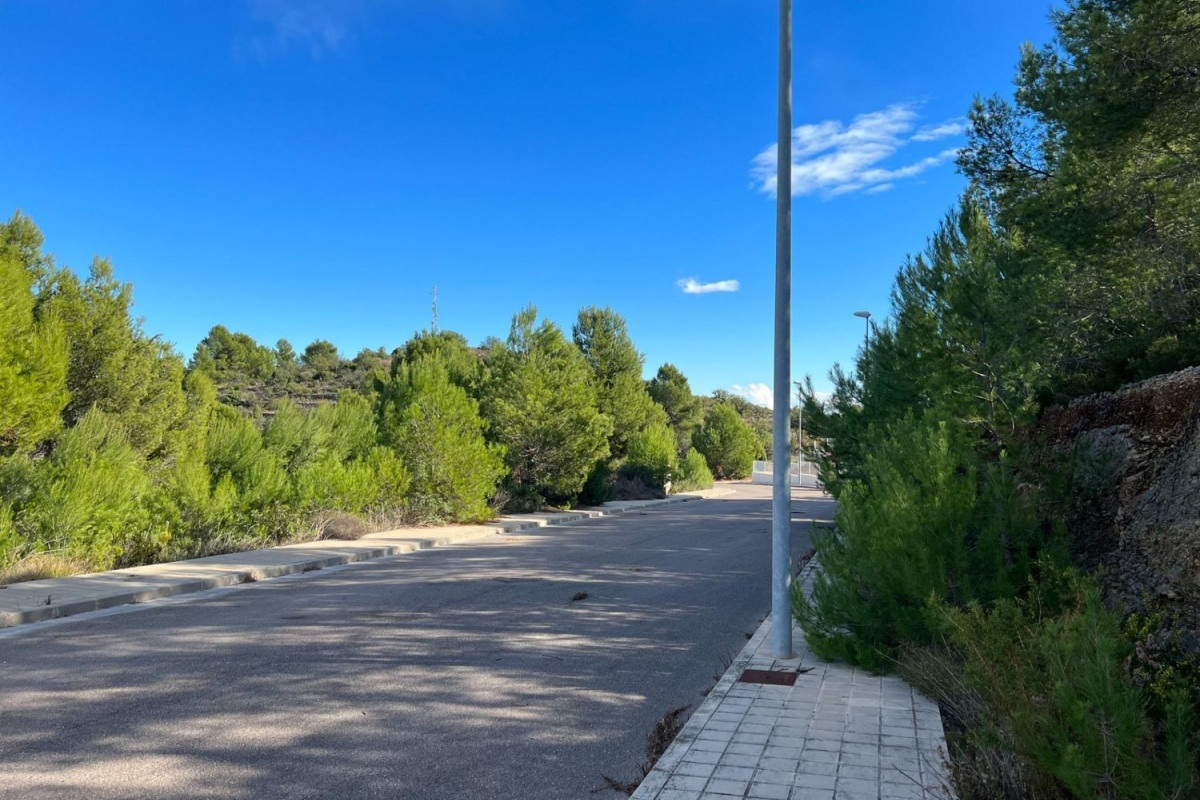 Terreno en venta en Borriol, Castellón photo 5