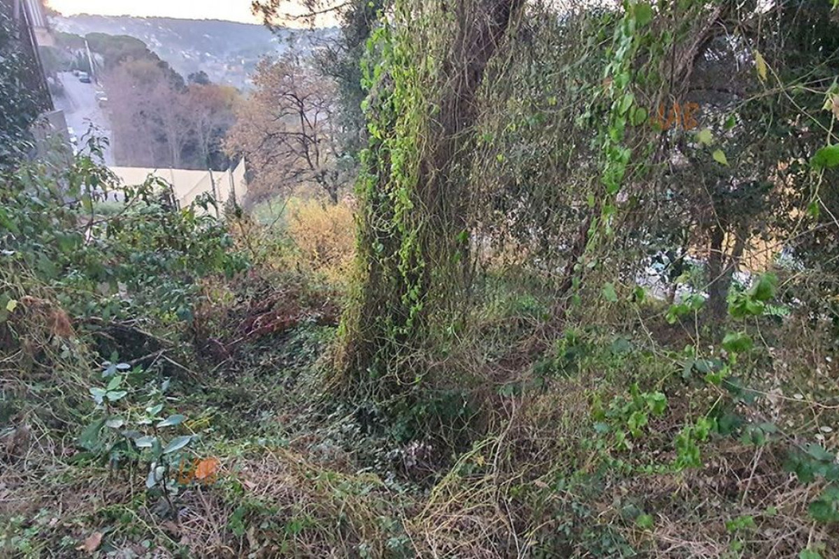 Terreno en venta en Vallgorguina, Barcelona photo 5