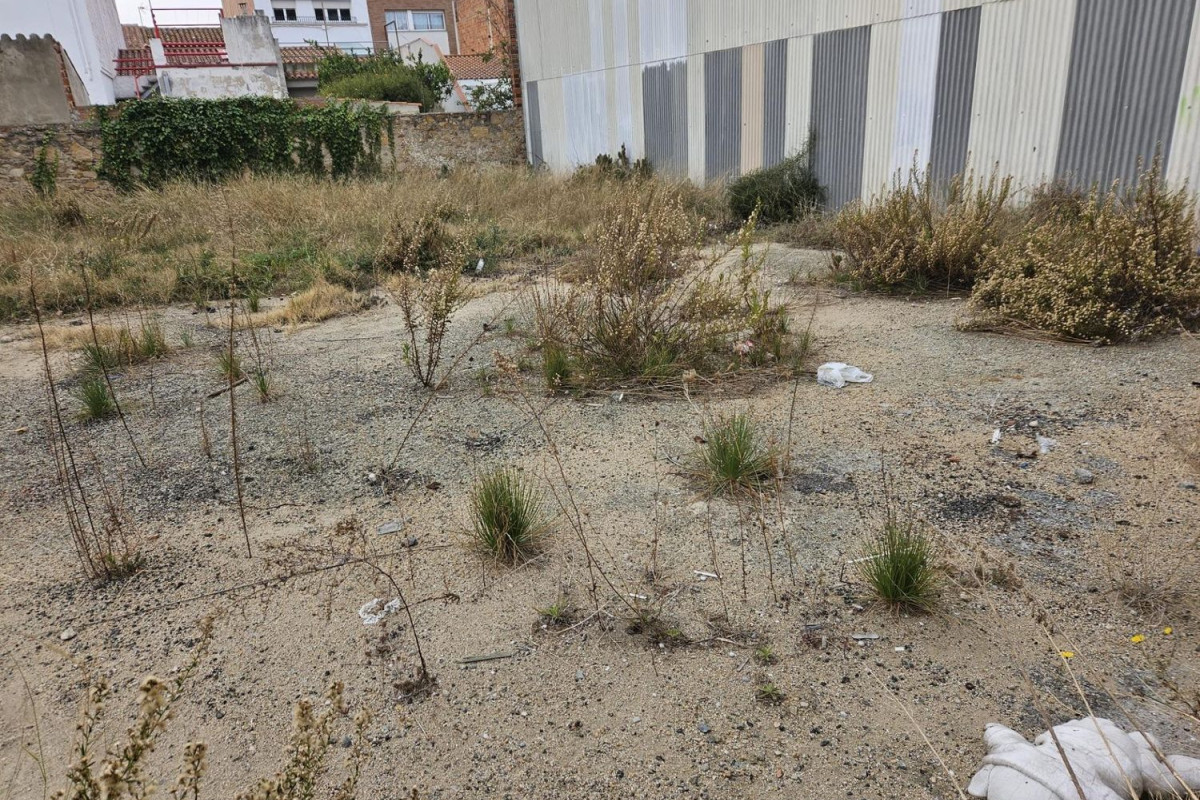 Terreno en venta en Malgrat de Mar, Barcelona photo 5