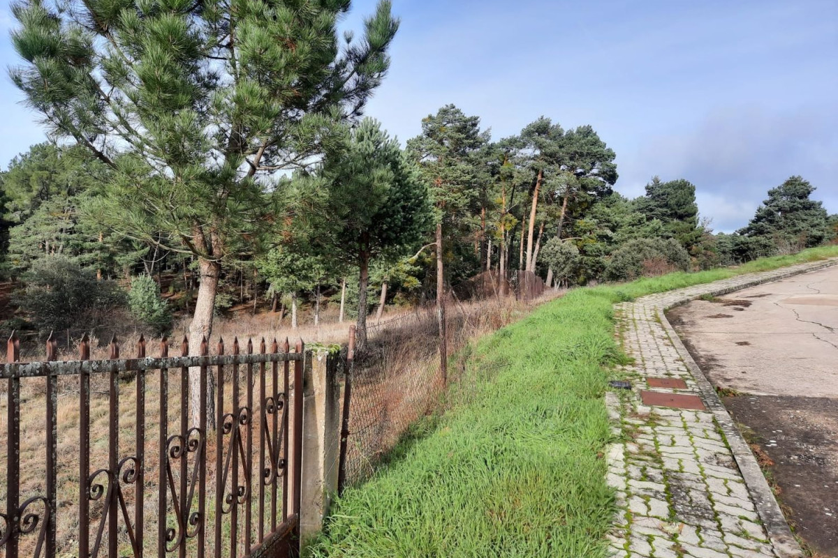 Terreno en venta en Navaleno, Soria photo 5