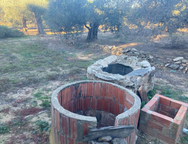 Terreno en venta en Palau Savardera s/n photo 1