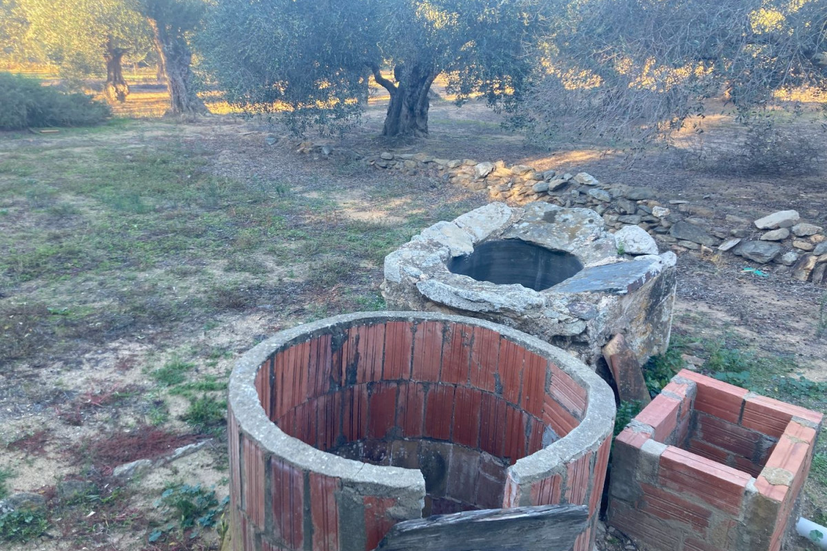 Działka na sprzedaż w Palau-Saverdera, Girona photo 2