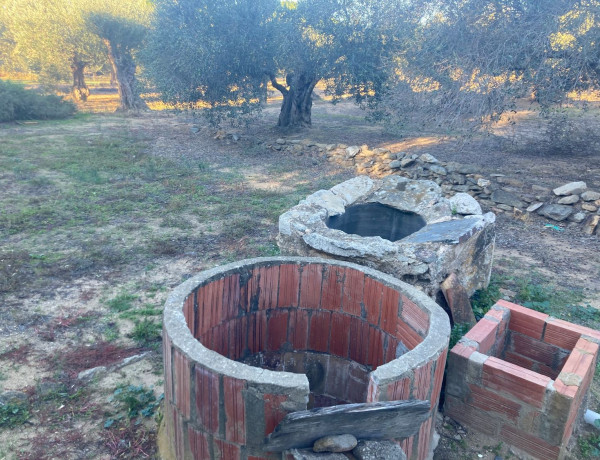 Terreno en venta en Palau Savardera s/n photo 2