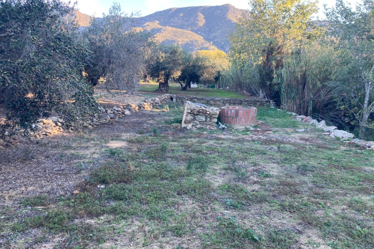 Działka na sprzedaż w Palau-Saverdera, Girona photo 3