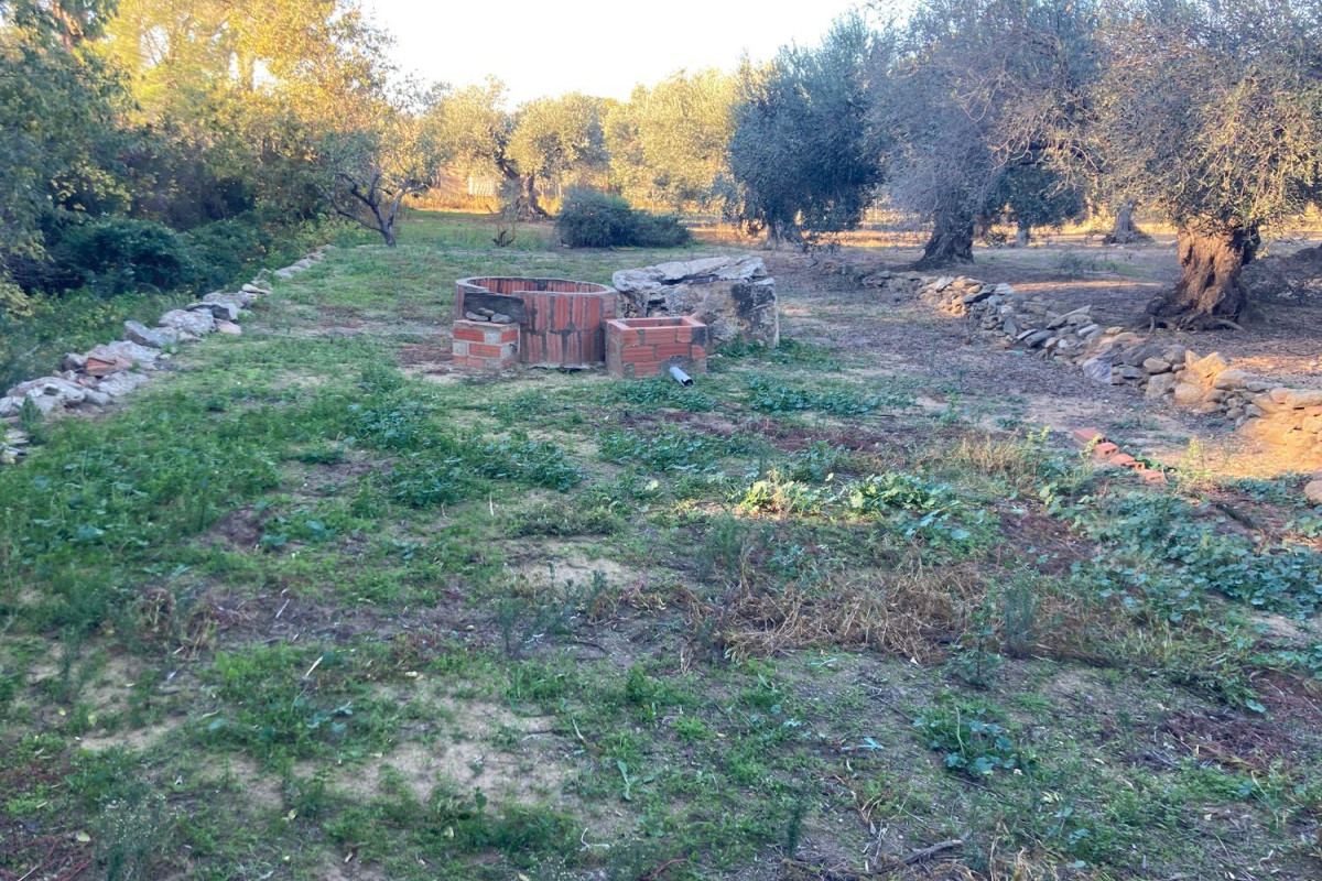 Działka na sprzedaż w Palau-Saverdera, Girona photo 4