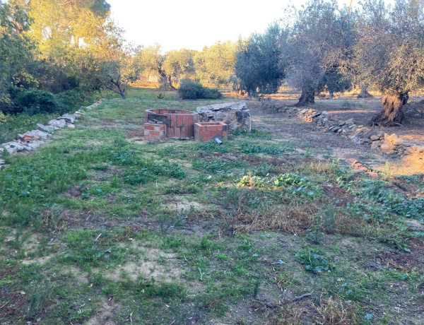Terreno en venta en Palau Savardera s/n photo 4