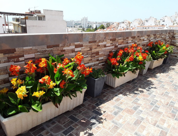 Edificio residencial en venta en Velarde thumbnail 2