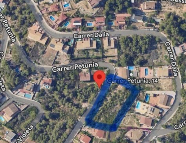 Terreno en venta en calle Petunia, 14 photo 3