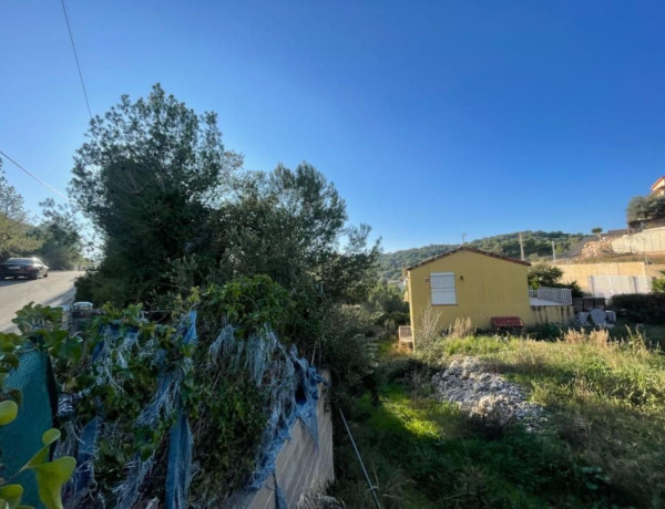 Terreno en venta en calle Petunia, 14 photo 4