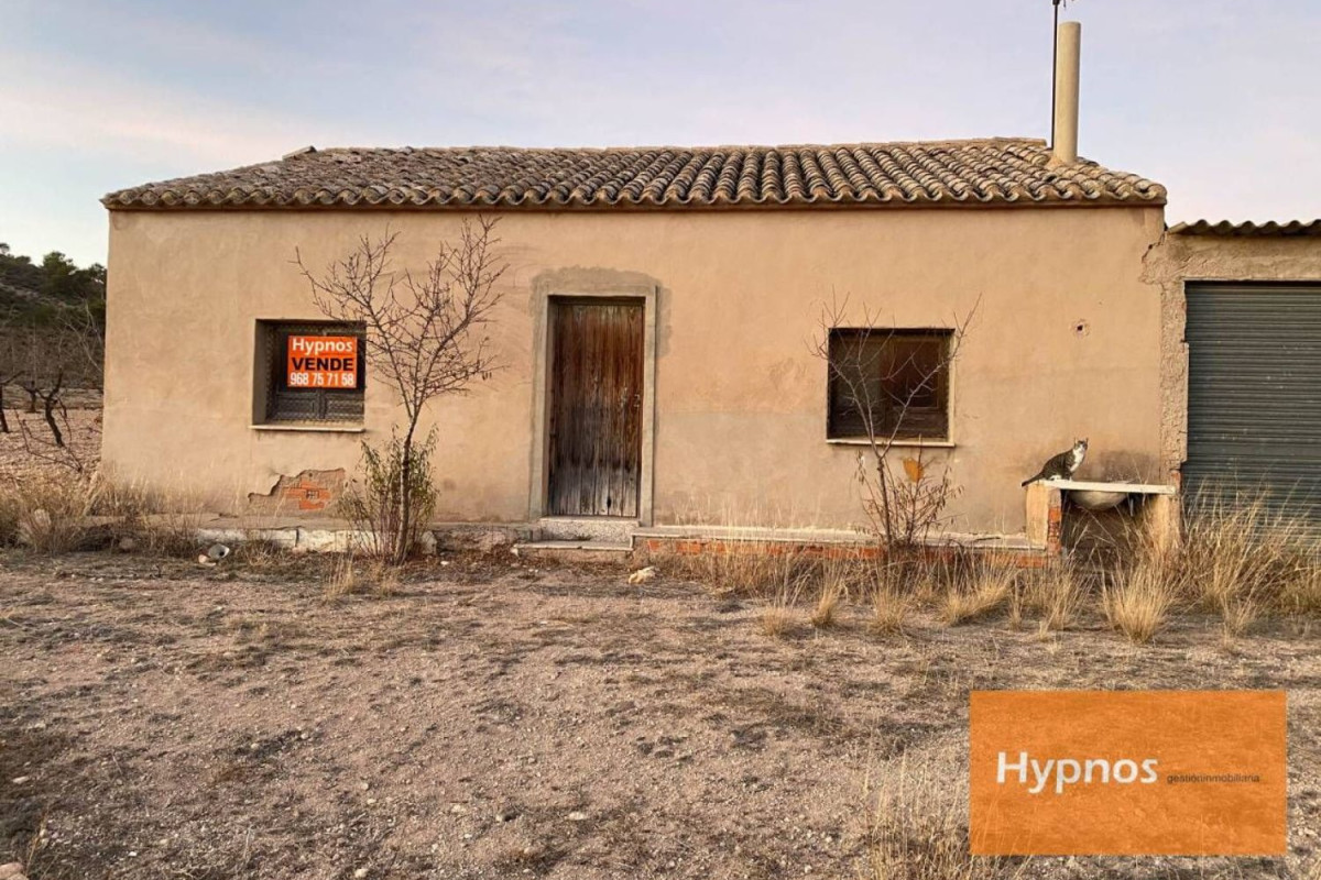 Casa o chalet independiente en venta en Jumilla, Jumilla
 photo 2
