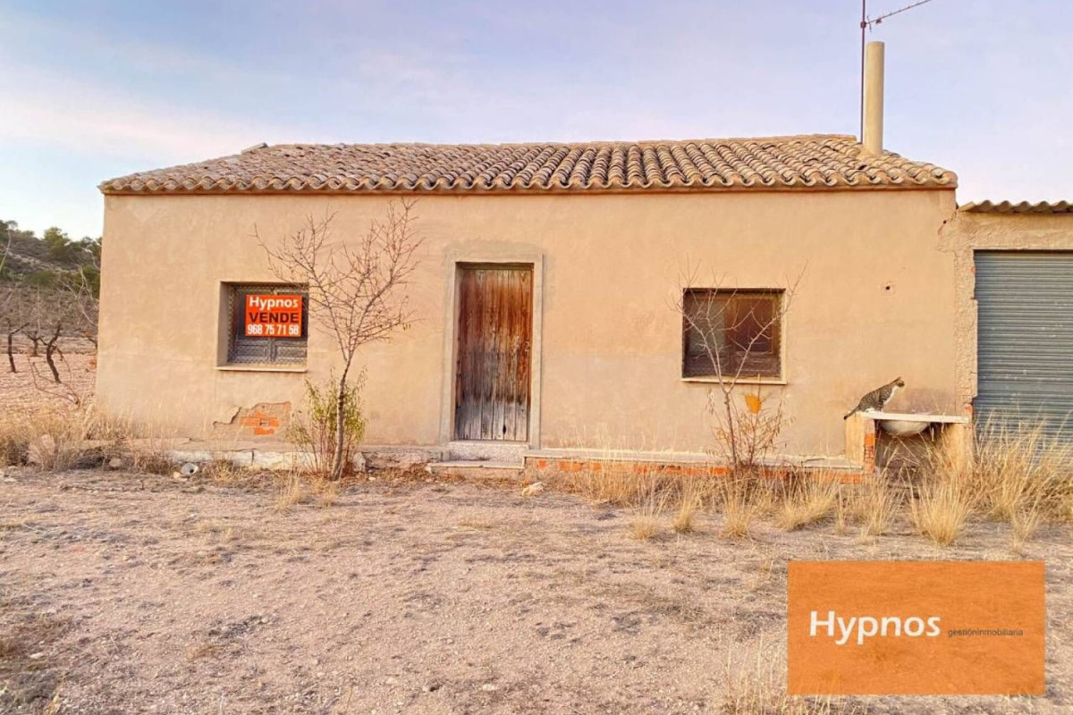Casa o chalet independiente en venta en Jumilla, Jumilla
 photo 4