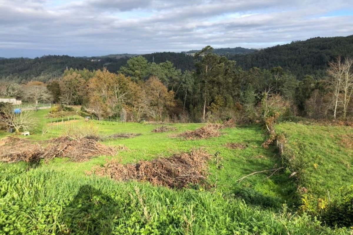 Terreno en venta en Coiros, A Coruña photo 3