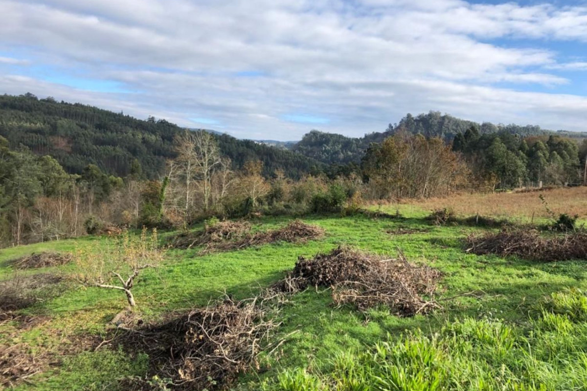 Terreno en venta en Coiros, A Coruña photo 5