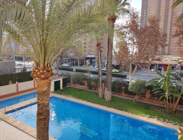Apartment for sale in Avenida del Mediterráneo, Benidorm thumbnail 1