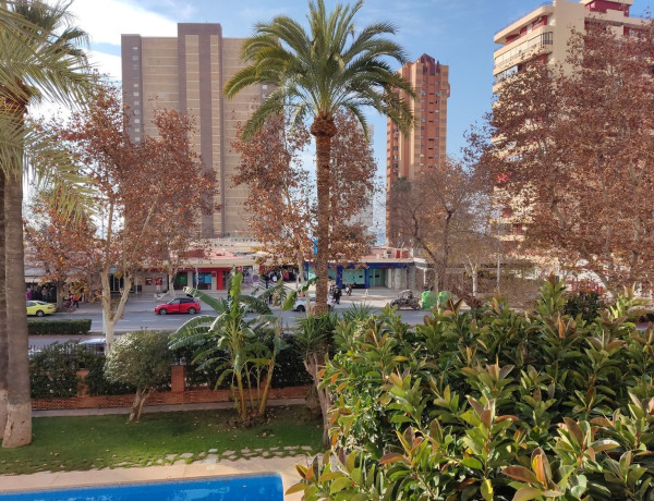 Apartment for sale in  Avenida del Mediterráneo, Benidorm photo 4