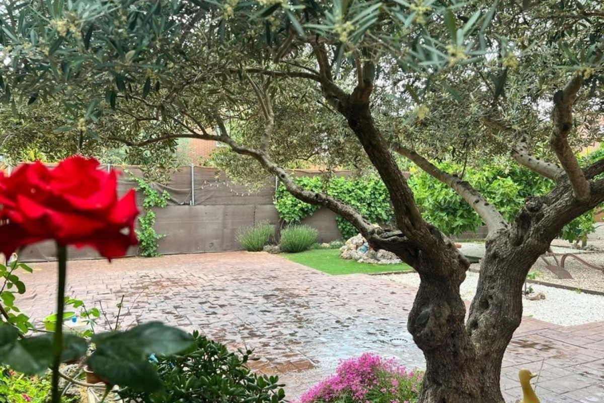 Casa o chalet independiente en venta en Camarma de Esteruelas, Camarma de Esteruelas
 photo 3