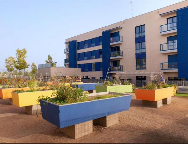 Bajo en venta en San Bernardo - Carmelitas - Campus , Salamanca thumbnail 2